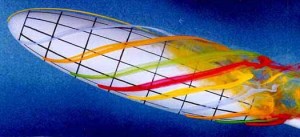 Flow Visualization | Flometrics